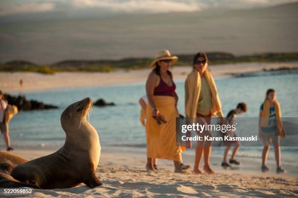 galapagos tourists - galapagos islands stock pictures, royalty-free photos & images