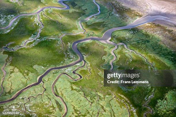 netherlands, schiermonnikoog island, mudflats - mar de wadden fotografías e imágenes de stock