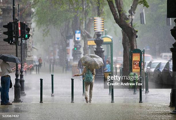 rainstorm in budapest - precipitation stock-fotos und bilder