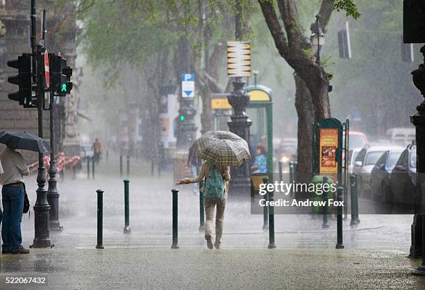 rainstorm in budapest - regen stockfoto's en -beelden