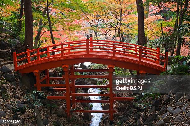 tsutenkyo bridge - honshu stock pictures, royalty-free photos & images