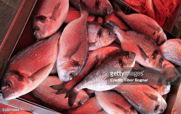 fish market in marsaxlokk - marsaxlokk stockfoto's en -beelden