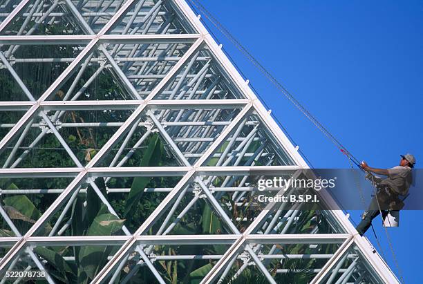 worker cleaning the rainforest - biosphere 2 arizona stock pictures, royalty-free photos & images