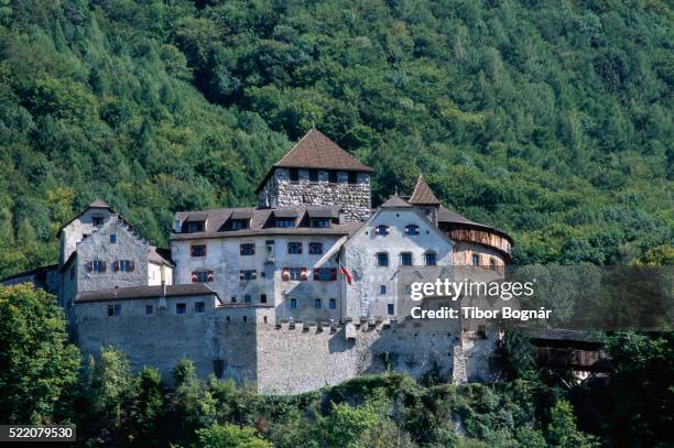vaduz castle - vaduz stock pictures, royalty-free photos & images