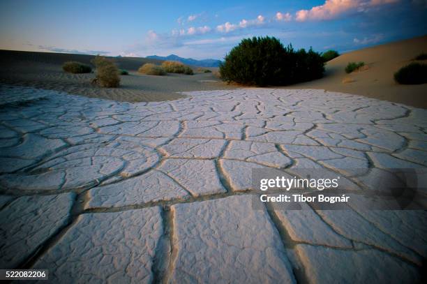 Cracked Desert Floor Photos and Premium High Res Pictures - Getty Images