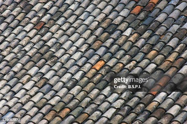 Gango 21 Gango Ji Stock Photos, High-Res Pictures, and Images - Getty Images
