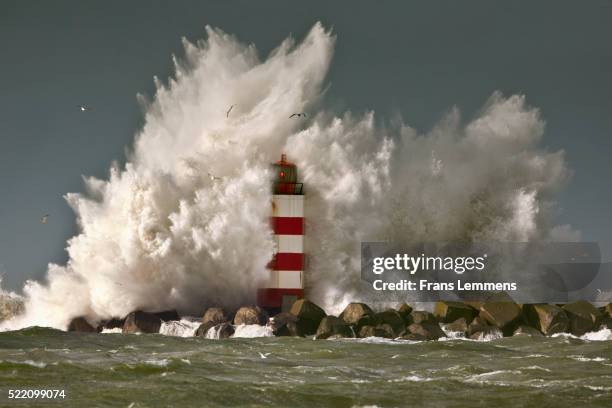 the netherlands, ijmuiden, storm. waves smash against beacon. - storm bildbanksfoton och bilder