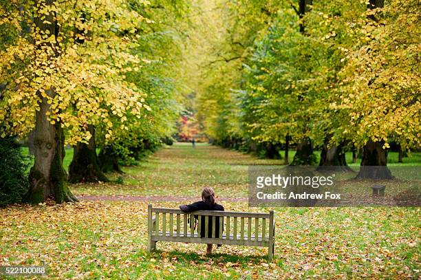 woman sitting alone in park - garden bench stock pictures, royalty-free photos & images