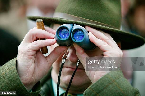 spectator watching horse race - cheltenham racing stock pictures, royalty-free photos & images