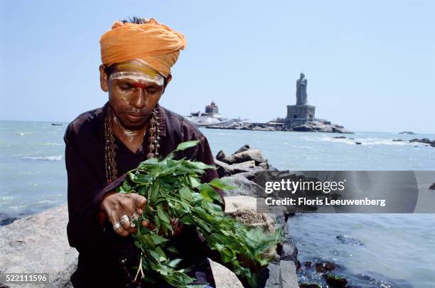 collecting medicinal plants - floris leeuwenberg stock pictures, royalty-free photos & images