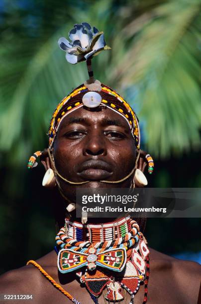 masai warrior - floris leeuwenberg stock pictures, royalty-free photos & images