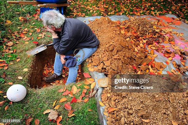 dog owner finishing his dog grave - pet death stock pictures, royalty-free photos & images