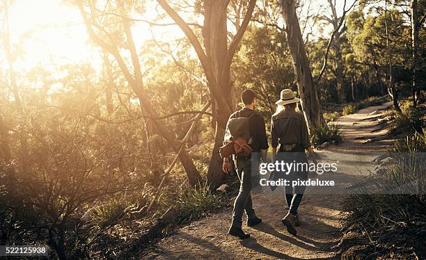 spending a weekend in the wilderness - australia marriage stockfoto's en -beelden