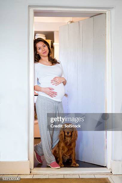 9,633 Pregnant Animals Stock Photos, High-Res Pictures, and Images