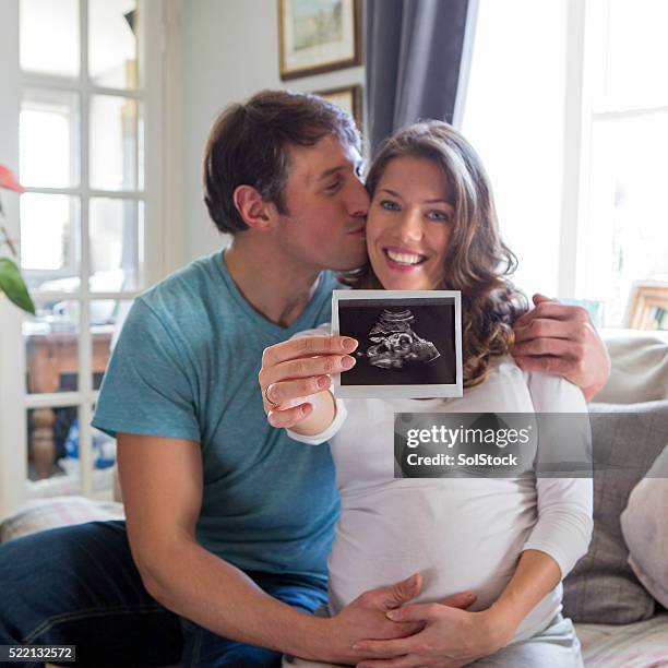 proud parents-to-be - dierenfoetus stockfoto's en -beelden