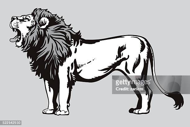 490 Lion Line Drawing High Res Illustrations - Getty Images