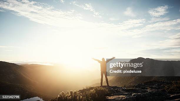 real freedom lies in wilderness not in civilisation - free bildbanksfoton och bilder