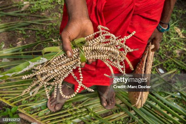traditional seashell money exchange in papua new guinea - coquille et coquillage photos et images de collection