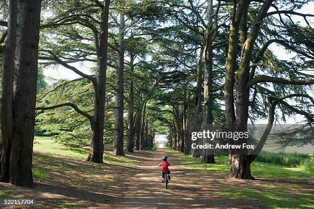 young bicyclist in clumber park - nottinghamshire stock pictures, royalty-free photos & images