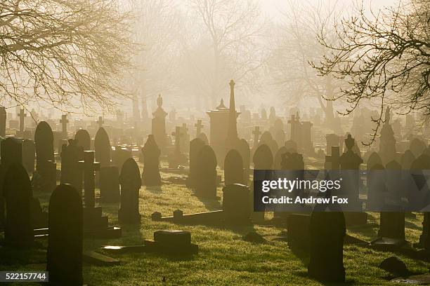 misty cemetery - grafsteen stockfoto's en -beelden