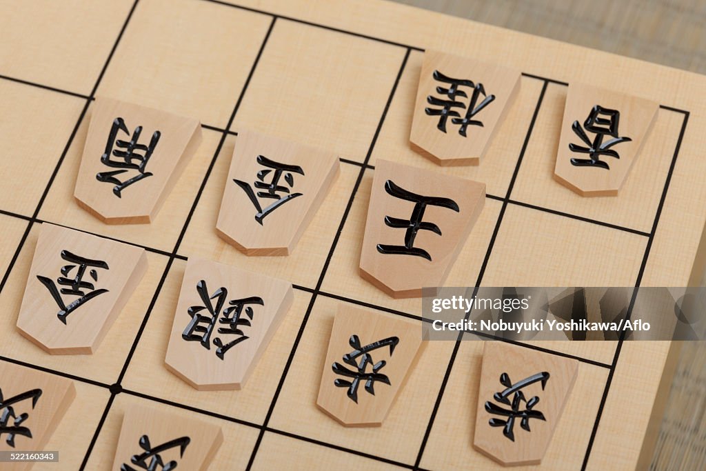 Japanese Chess Shogi