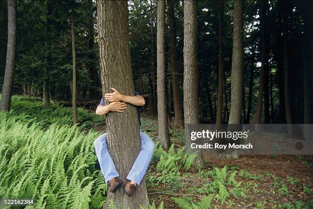 Man Behind Tree High-Res Stock Photo