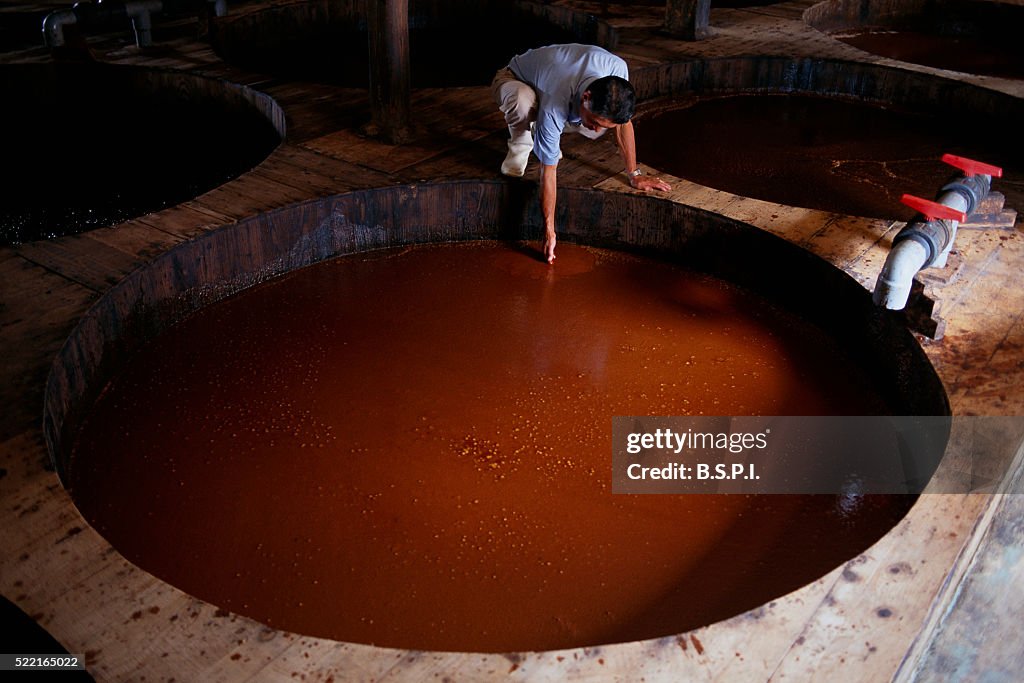 Inspecting Fermentation in Soy Sauce Factory