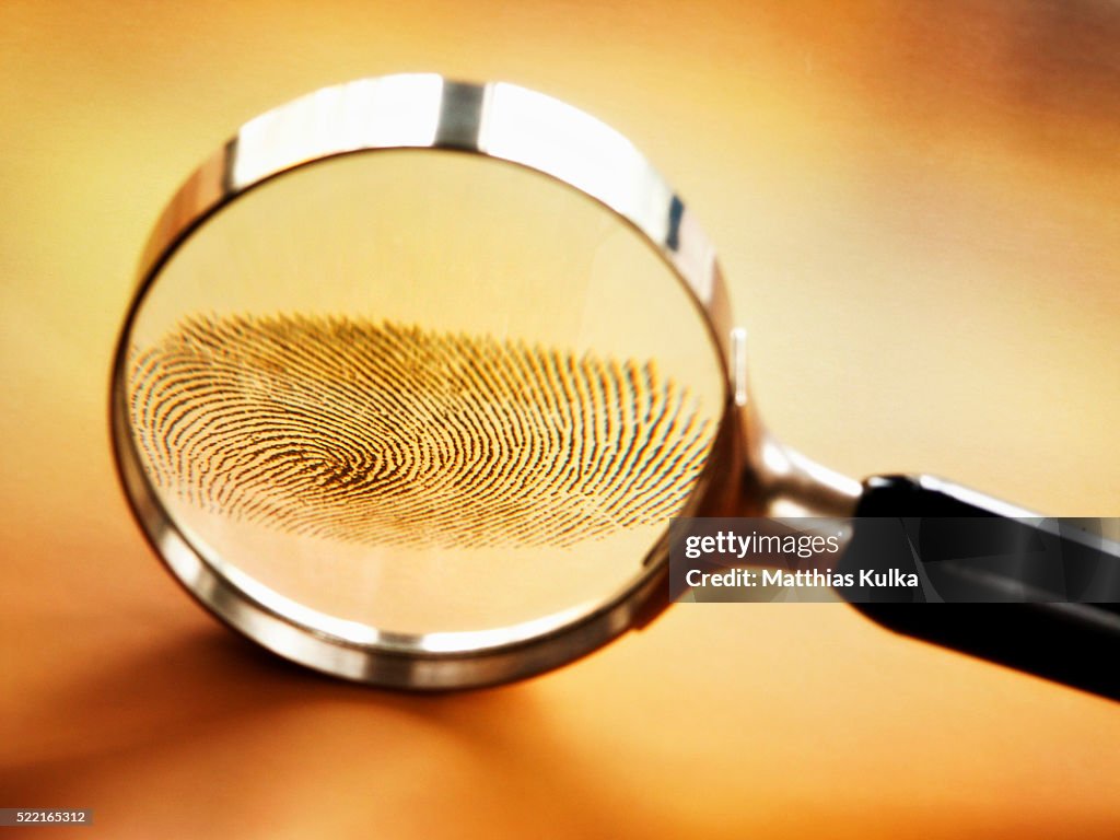 Lens Enlarging Fingerprint