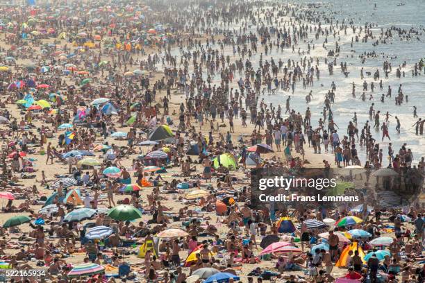 netherlands, scheveningen, people sunbathing - crowded beach stock pictures, royalty-free photos & images