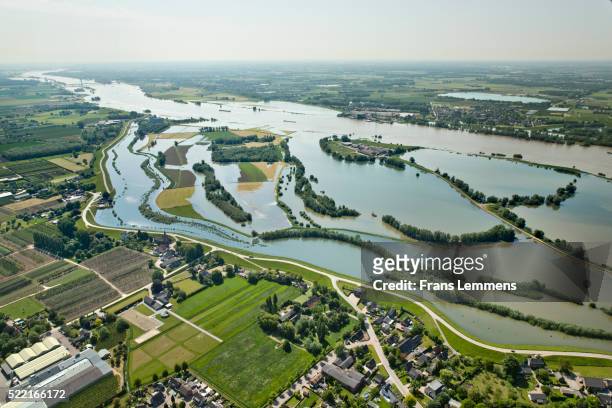 netherlands, dodewaard. waal river. flooded land - polder stock-fotos und bilder