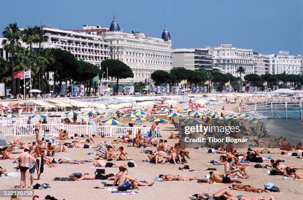 beach resort - cannes, france - cannes beach stock pictures, royalty-free photos & images