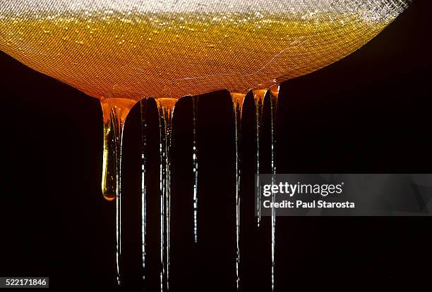 honey flowing from the sieve to bottom of honey ripener - passoire photos et images de collection