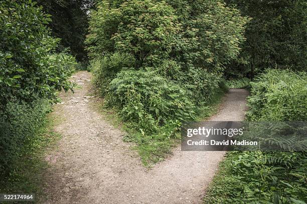 road diverging in countryside - diverging paths concept stock pictures, royalty-free photos & images