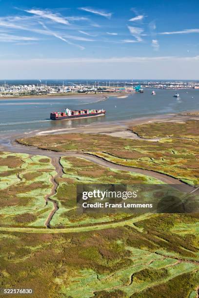 netherlands, nieuw namen, container ship in westerschelde river - zeeland netherlands stock pictures, royalty-free photos & images