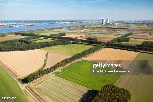 netherlands, nieuw namen, polder hertogin hedwigepolder - hertogin imagens e fotografias de stock