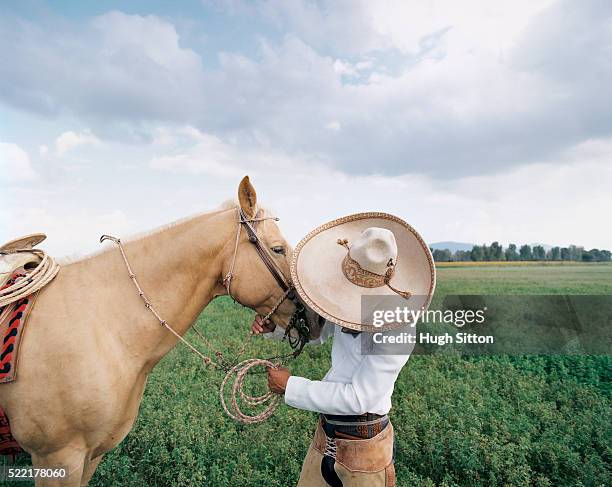cowboy talking to his palomino horse - palomino horse stock pictures, royalty-free photos & images