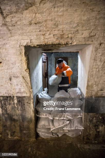 netherlands, vlissingen, man tries to avoid inundation by putting sandbags - sandbag stock pictures, royalty-free photos & images