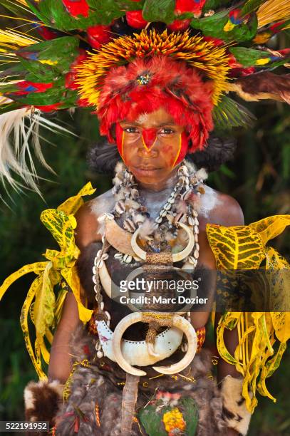papuan girl in traditional clothes at goroka show - goroka stock pictures, royalty-free photos & images