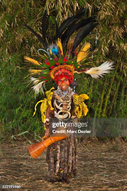 papuan girl in traditional clothes at goroka show - goroka photos et images de collection