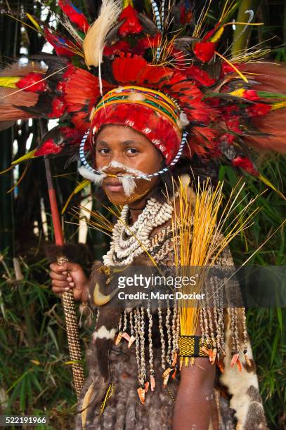 papuan girl in traditional costume at goroka show - goroka photos et images de collection