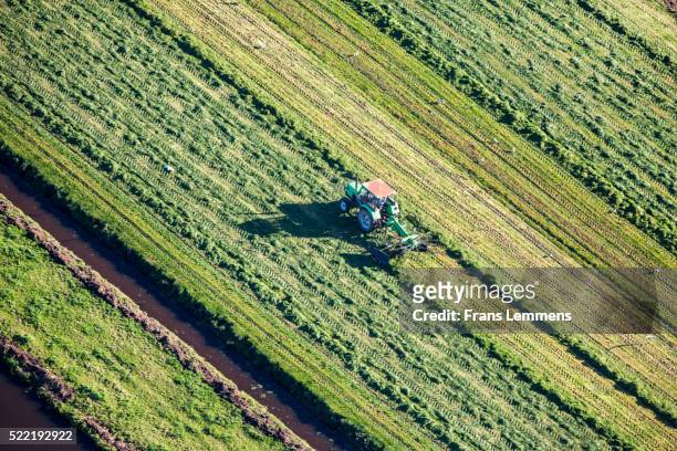 netherlands, loenen. farmer with tractor collects grass. aerial - country bildbanksfoton och bilder