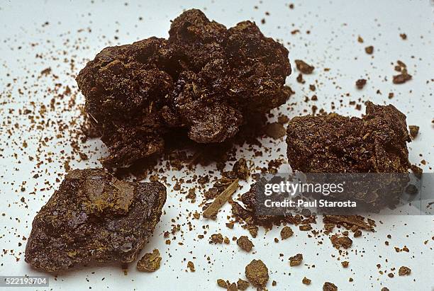Propolis Chip 207 Propolis Product Stock Photos, High-Res Pictures, and Images ...