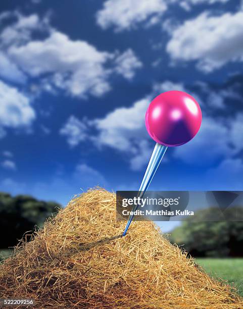 Digging Needle Hay Stack Hay Stack Needle Photos and Premium High Res Pictures - Getty Images