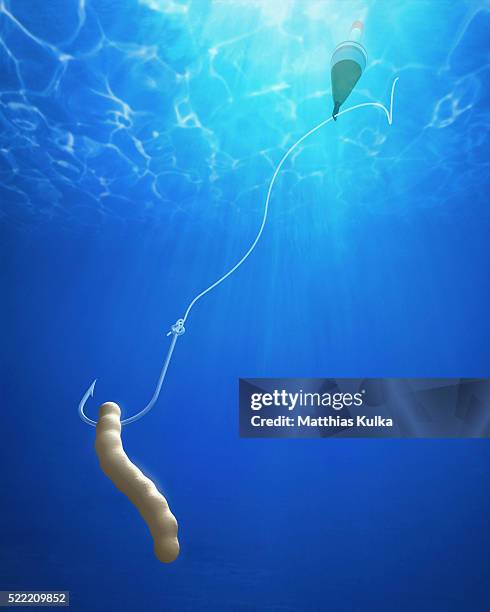 Worm Inflation 102 Worm On Hook Stock Photos, High-Res Pictures, and Images - Getty Images