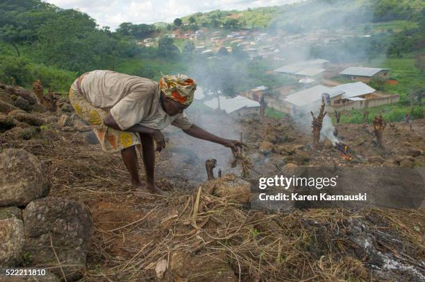 slash and burn in sierra leone - kabbalah stock pictures, royalty-free photos & images