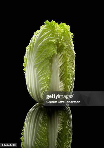 napa cabbage - endivie stock-fotos und bilder