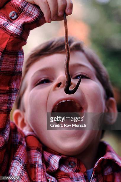 boy about to eat a worm - earthworm stock-fotos und bilder