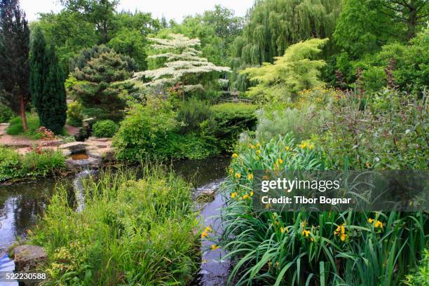 england, london, regent's park, - regents park stock pictures, royalty-free photos & images