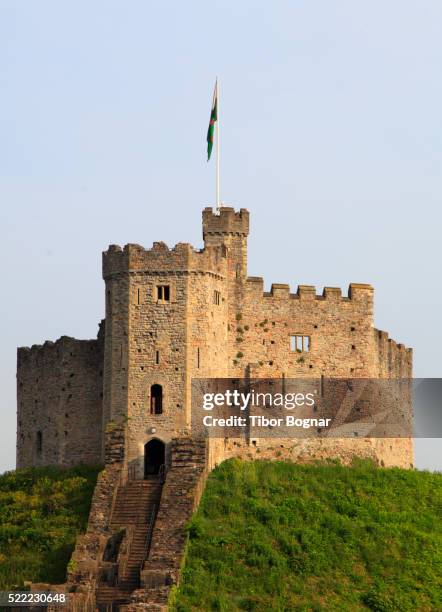 uk, wales, cardiff, castle, - cardiff castle stock pictures, royalty-free photos & images