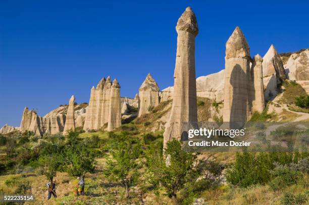 cappadocian farmer - cappadocië stockfoto's en -beelden